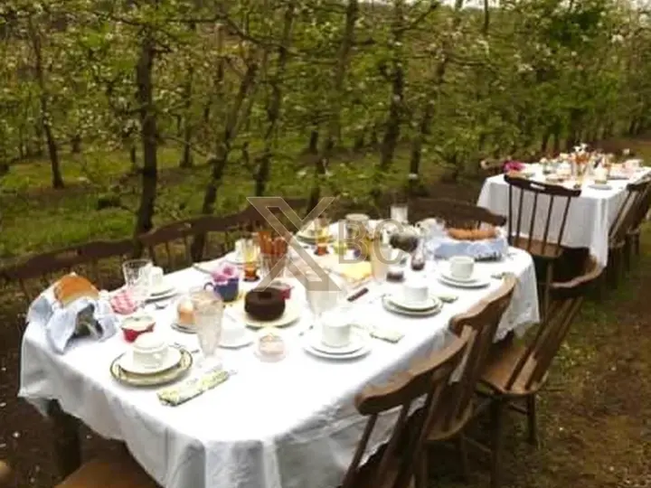 Área Rural à venda no Distrito de Águas Brancas - Urubici